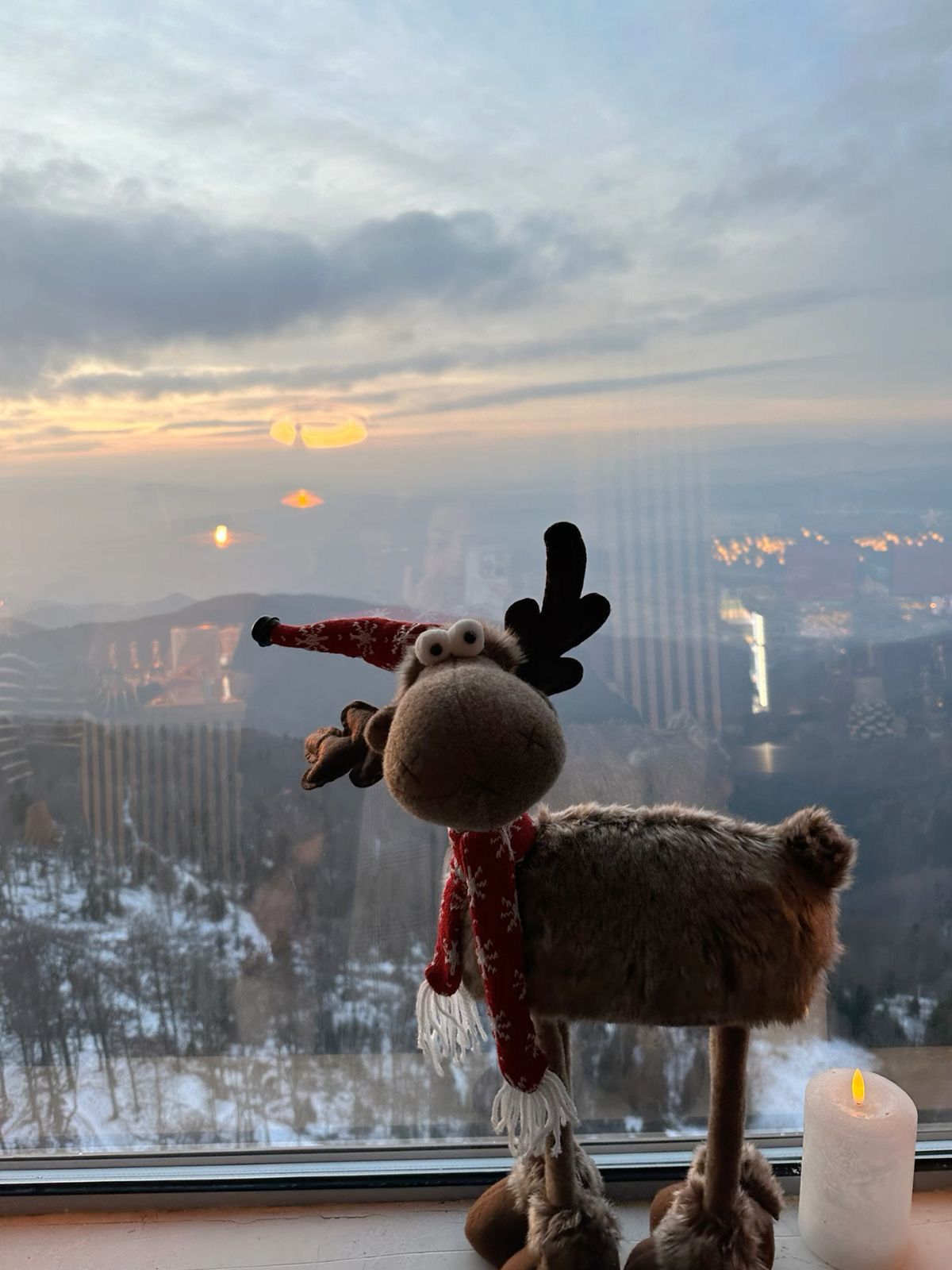 Reindeer on windowsill with winter view
