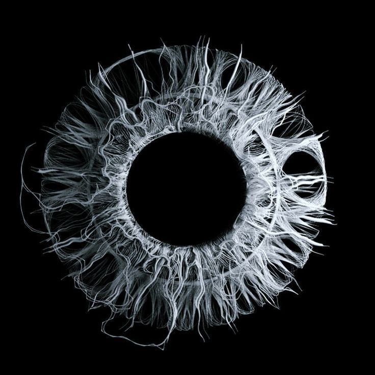 Kako sačuvati zdravlje očiju i koncentraciju u svijetu ekrana